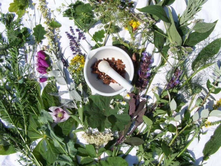 HERBS FOR POWER