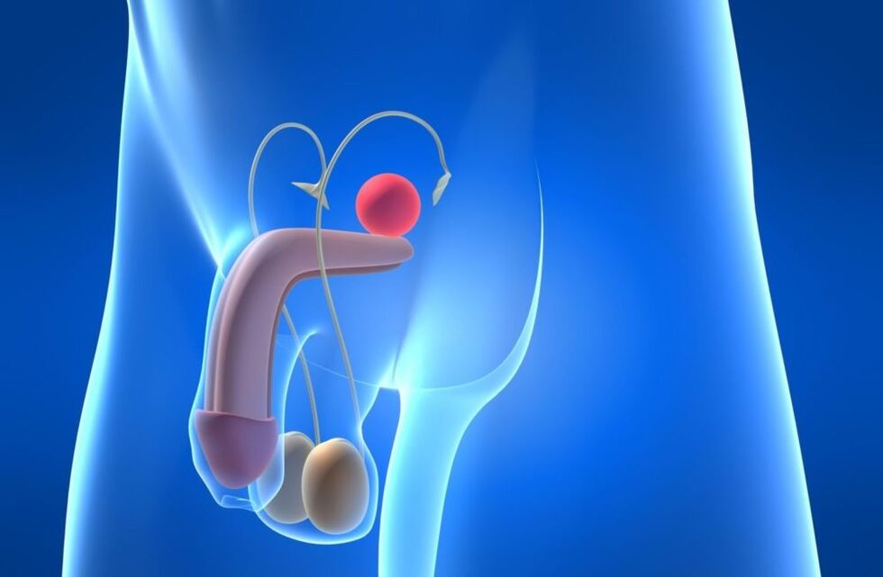 Diseases of the reproductive system can cause a decrease in potency in men.